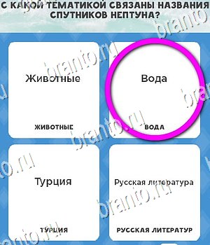 Всё обо всём решения Уровень 133