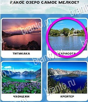 Всё обо всём игра ответы Уровень 144