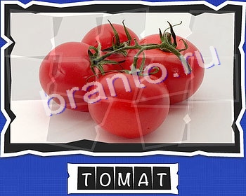 Решения на игру ВспомниЛось уровень 3