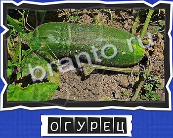 ответы к игре ВспомниЛось уровень 5