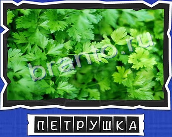 ответы на игру в одноклассниках ВспомниЛось уровень 6