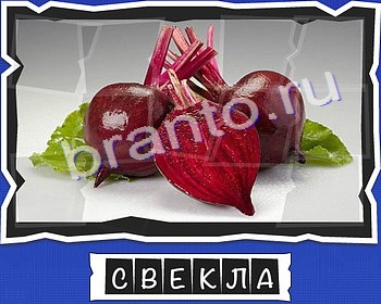 Одноклассники ВспомниЛось ответы уровень 8