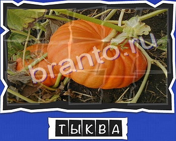 ВспомниЛось Овощи и специи подсказки в контакте уровень 9