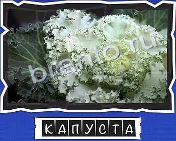 ВспомниЛось Овощи и специи ответы в картинках в контакте уровень 16