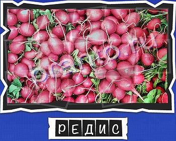 Игра ВспомниЛось подсказки вк уровень 18