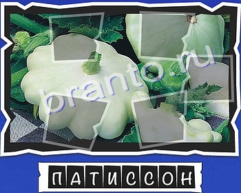 решебник на игру ВспомниЛось Уровень 21