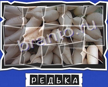 ВспомниЛось Овощи и специи игра помощь в контакте Уровень 25