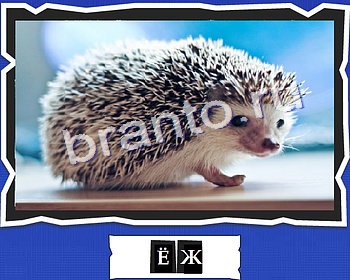 ответы на игру ВспомниЛось в одноклассниках уровень 1