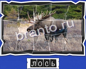 Подсказки на игру ВспомниЛось уровень 2