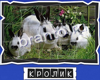 Решения на игру ВспомниЛось уровень 3