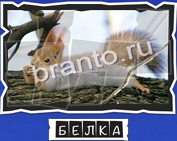 Помощь на игру ВК ВспомниЛось уровень 4