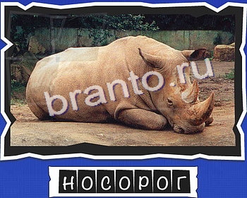 ответы на игру в одноклассниках ВспомниЛось уровень 6