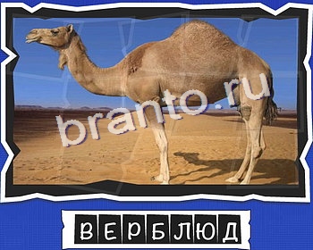 Одноклассники ВспомниЛось ответы уровень 8