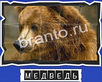 ВспомниЛось Животные подсказки в контакте уровень 9