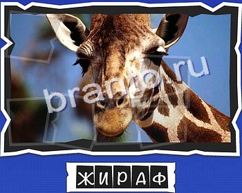 игра ВспомниЛось ответ на Уровень 10