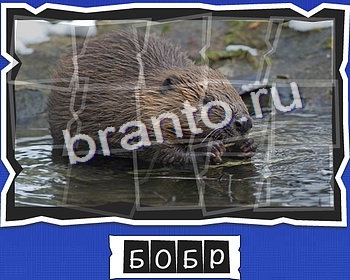 решебник на игру ВспомниЛось уровень 11