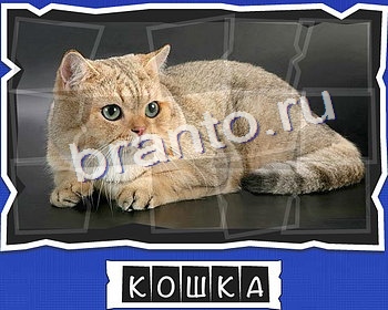 ВспомниЛось Животные решения уровень 12