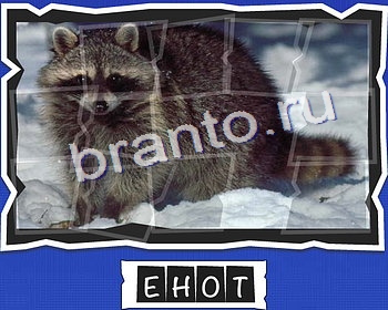 ВспомниЛось Животные игра ответы уровень 13