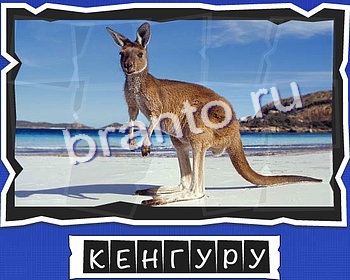 ВспомниЛось Животные игра подсказки уровень 14