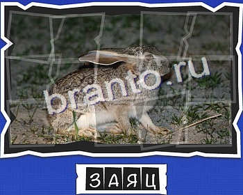 Игра ВспомниЛось ответы вк уровень 17