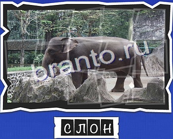 Игра ВспомниЛось подсказки вк уровень 18