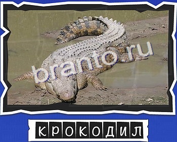 игра ВспомниЛось помощь одноклассники уровень 19