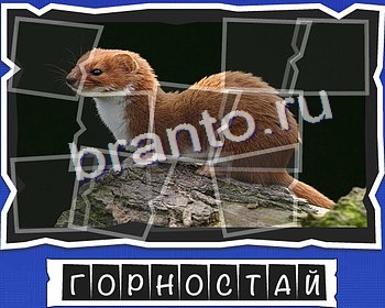 решебник на игру ВспомниЛось Уровень 21