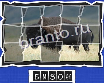 ВспомниЛось Животные решения Уровень 22