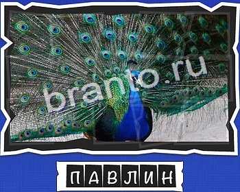 ответы на игру ВспомниЛось в одноклассниках уровень 1