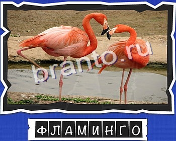 Подсказки на игру ВспомниЛось уровень 2