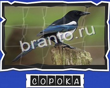 Решения на игру ВспомниЛось уровень 3