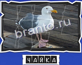 Помощь на игру ВК ВспомниЛось уровень 4