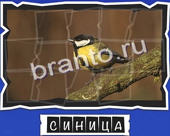 ответы к игре ВспомниЛось уровень 5