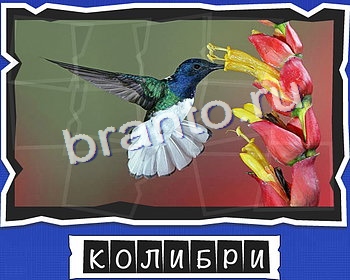 ответы на игру в одноклассниках ВспомниЛось уровень 6