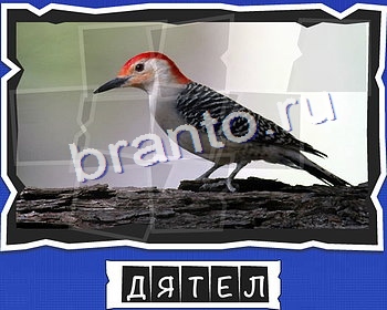 Одноклассники ВспомниЛось ответы уровень 8