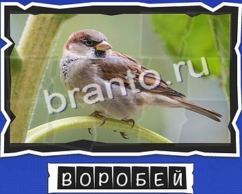 игра ВспомниЛось ответ на Уровень 10