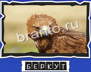 Игра ВспомниЛось ответы вк уровень 17