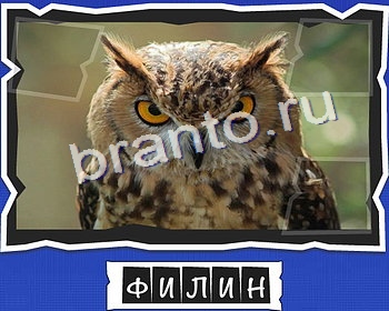 Игра ВспомниЛось подсказки вк уровень 18