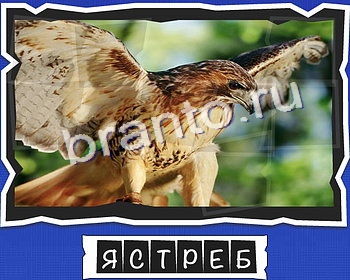 игра ВспомниЛось ответы в одноклассниках на Уровень 20