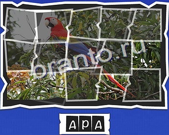 ВспомниЛось Птицы игра помощь в контакте Уровень 25