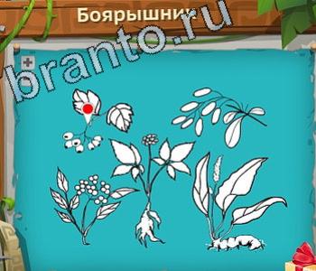 игра Загадочный остров решения уровень 159 боярышник