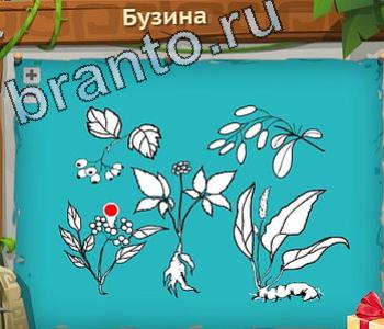 Загадочный остров ответ на уровень 162 одноклассники бузина