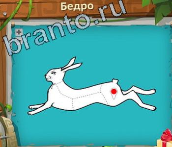 ответы на игру Загадочный остров уровень 175 бедро зайца