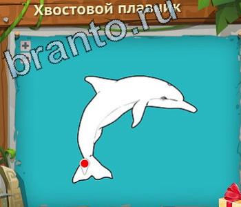 ответы на игру Загадочный остров уровень 176 хвостовой плавник