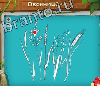ответы на игру Загадочный остров уровень 178 овсяница