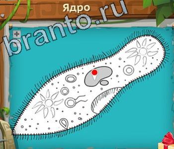 подсказки на игру Загадочный остров уровень 185 ядро