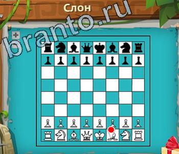 решения на игру Загадочный остров Одноклассники уровень 186 шахматы слон