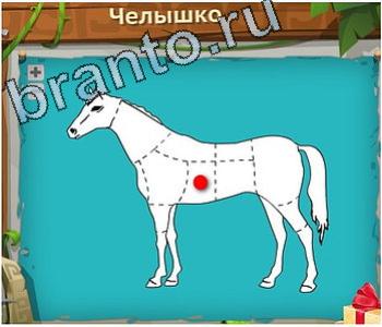 Загадочный остров ответ на уровень 189 челышко