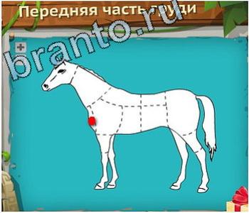 ответы на игру Загадочный остров уровень 193 передняя часть груди