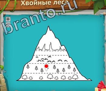 ответы на игру Загадочный остров уровень 199 хвойные леса